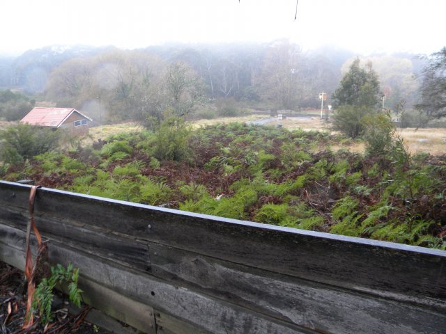 Crash barrier from the former raceway, Catalina Park, Katoomba. 